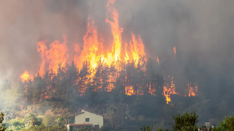 צילום: ISTOCK שריפת ענק במפעל הבשר הכשר
