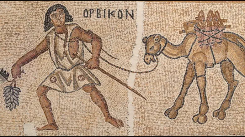 Revealed: How the secrets of the Byzantine Negev wine economy were deciphered