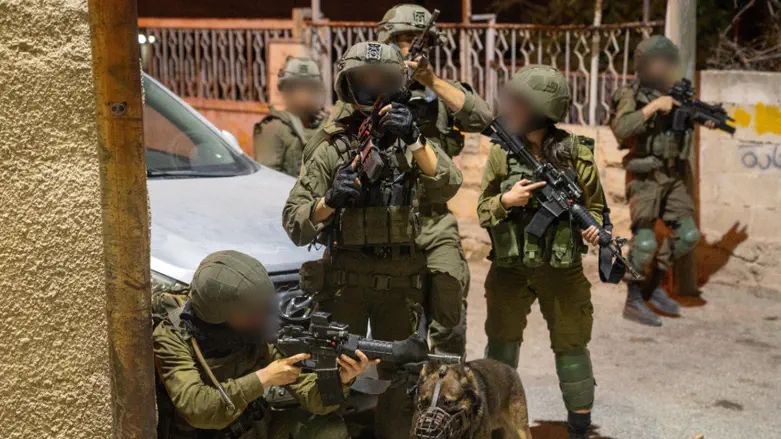 IDF finds dozens of weapons in Judea and Samaria