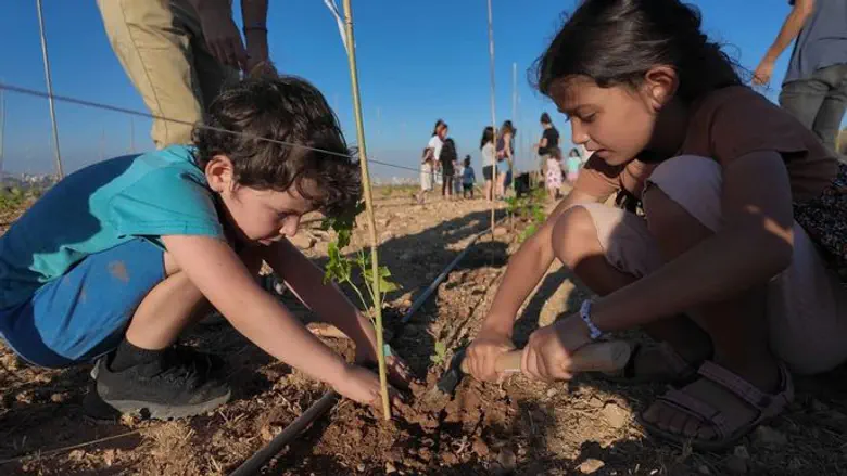 צילום: israeltrees Why we celebrate tree planting