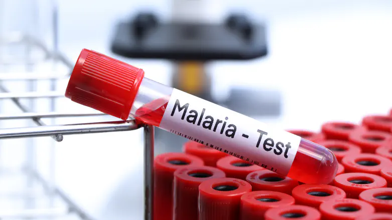 13-year-old in serious condition: bitten by bug on family trip and contracted malaria