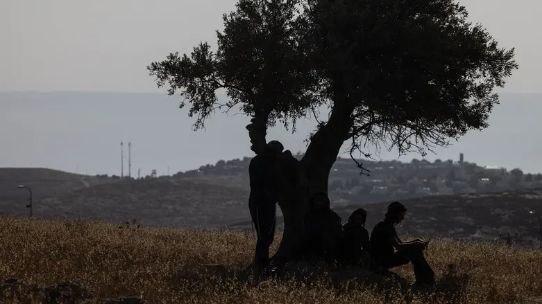 הנער הופתע: צו הרחקה בטעות