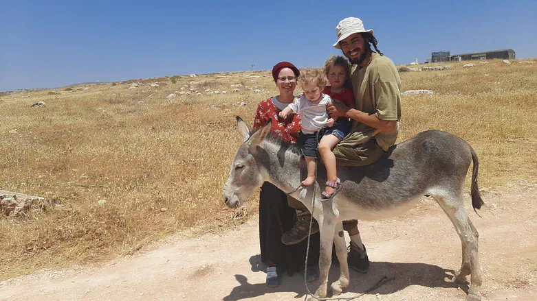 Shepherd arrested in his home: 'Dangerous precedent'