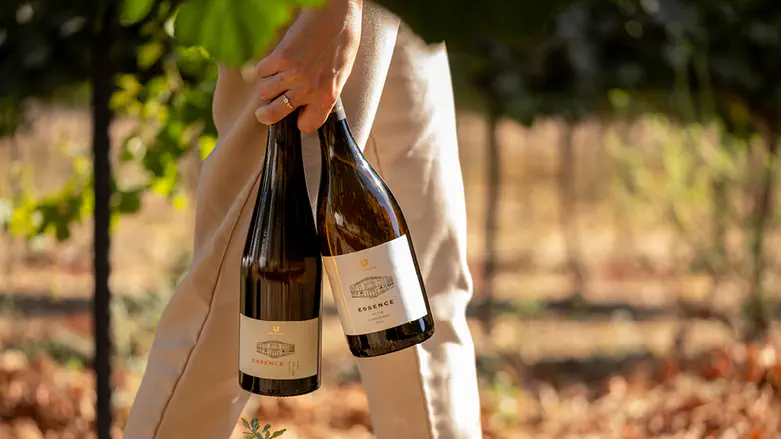 כולם מדברים על יין, אבל מי באמת מבין?