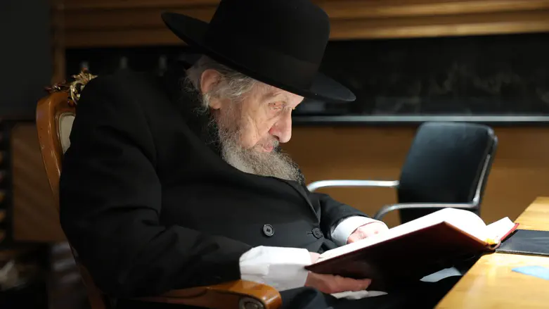 צילום: מוטי גרין «Юрисконсульту правительства подходит слово «злодейка»