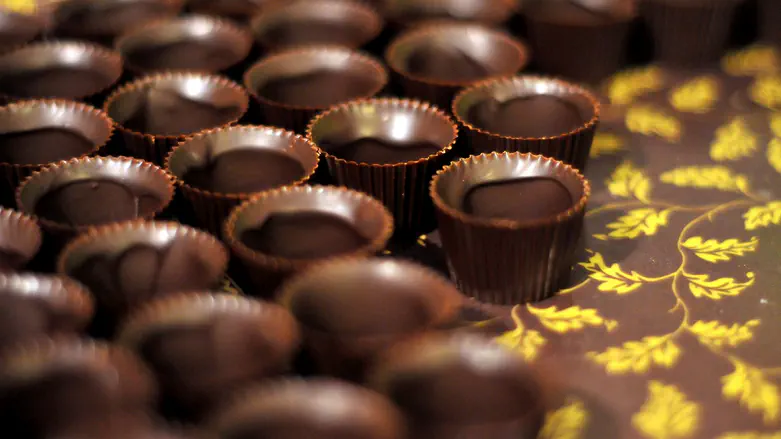 צילום: Sophie Gordon / Flash90 الشوكولاتة الداكنة حسّنت ذاكرة الفئران بـ30% خلال ساعة