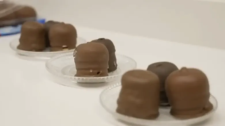 אחרי מחאת הקוטג'- תגיע מחאת הקרמבו?