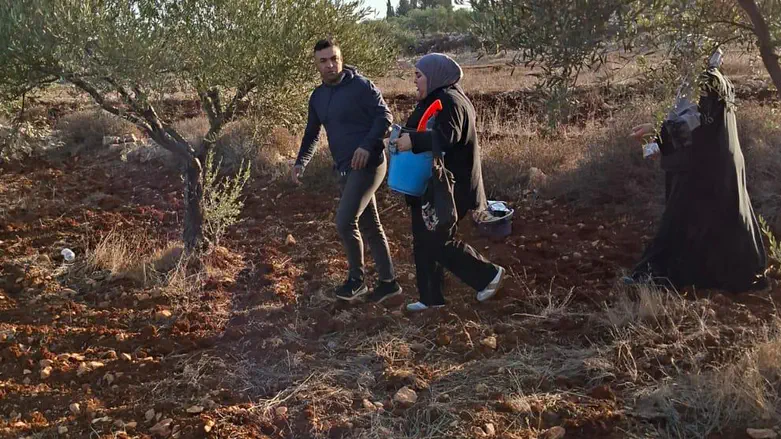 Enough with the Blood Libels - there Is no “Settler Violence”