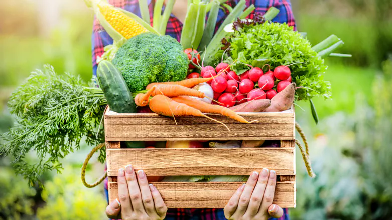 Bringing light every day: Pantry Packers and Israel's food crisis