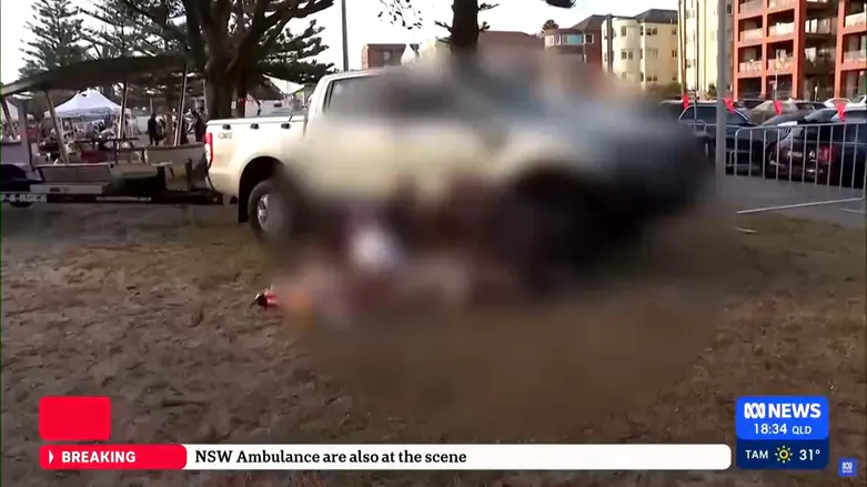 צילום: רויטרס Шокирующая резня на вечеринке в честь Хануки в Сиднее