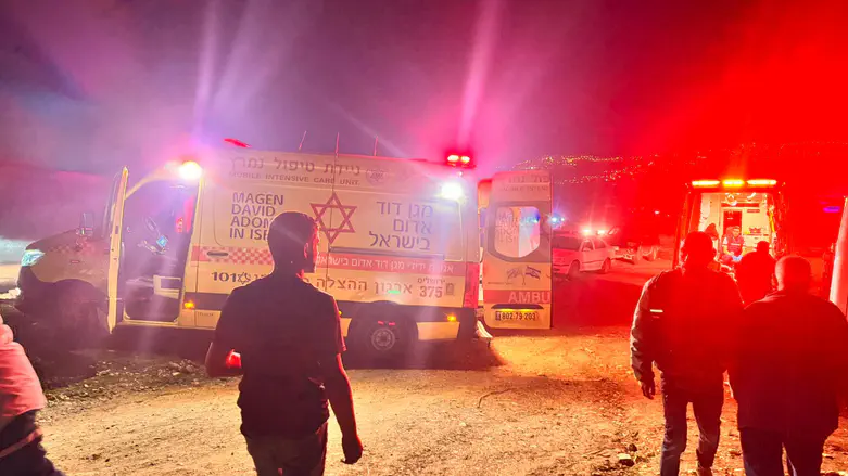 Пастухи подверглись каменной атаке, один из них ответил огнём