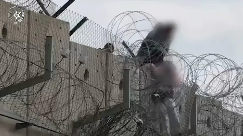 צילום: דוברות המשטרה שב"ח העביר ילדה קשורה מעל גדר ההפרדה