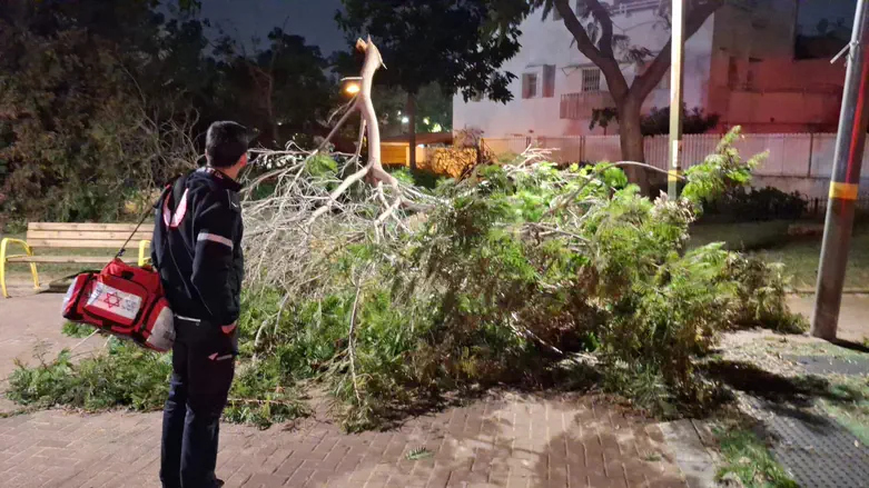 Heavy winds sweep across Israel - two injured