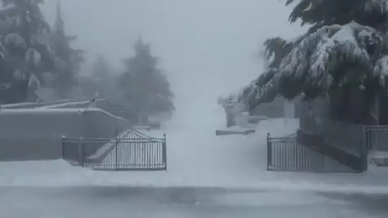 Storm hits peak | Watch: Mount Hermon covered in blanket of snow