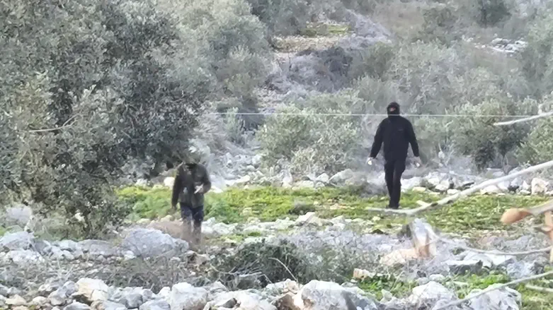 Arab rioters attack Samaria homestead