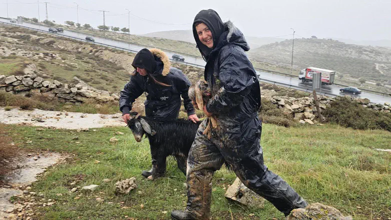 צילום: באדיבות המצלם Как поселения первопроходцев пережили зимние бури