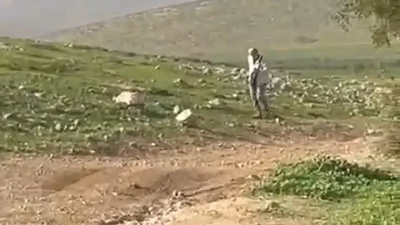 ללא קרדיט Кто отравляет пастбища в долине реки Иордан?