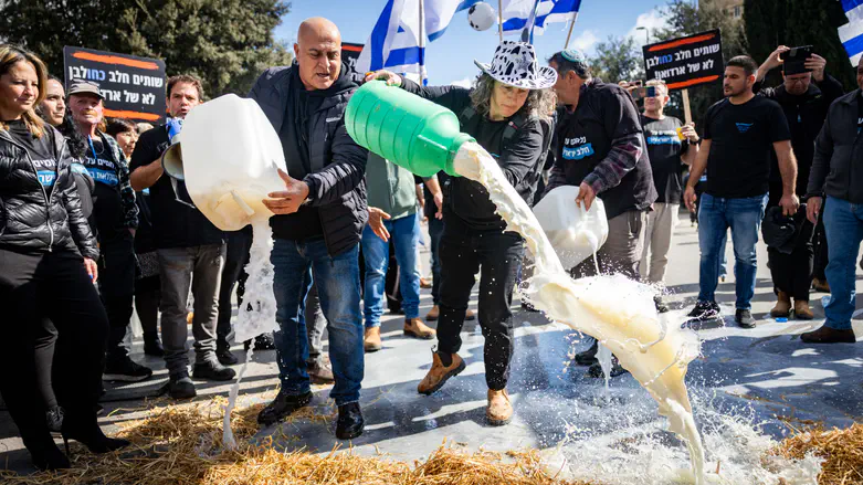 Yonatan Sindel/Flash90 Dairy farmers spill milk on main highway