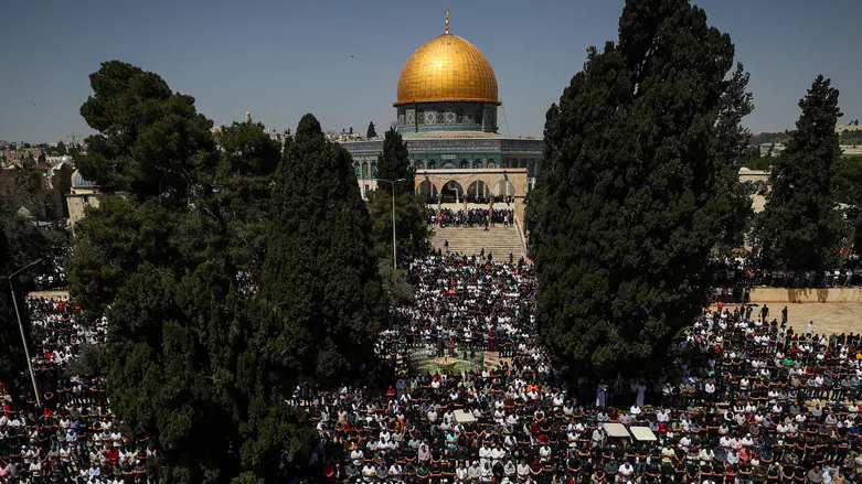 באש"ף מזהירים מקרבן פסח בהר הבית
