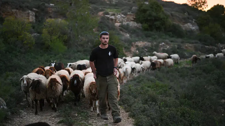 A look at the farm that defends Jerusalem from the south