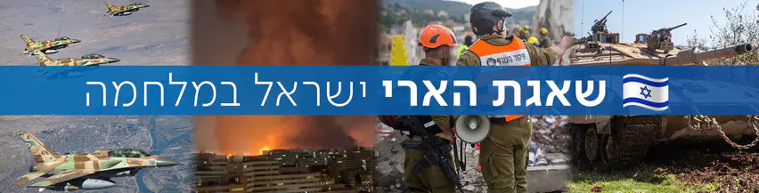 מבצע_שאגת_הארי