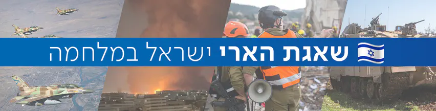 מבצע_שאגת_הארי