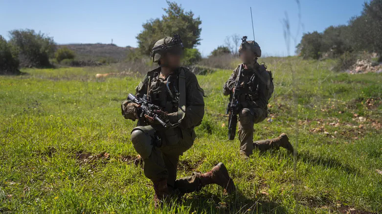מנהיגי המערב קוראים לישראל לעצור