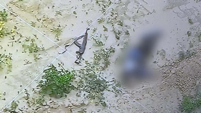 צילום: דובר צה"ל תיעוד מעזה: מחבלים ירו - וחוסלו