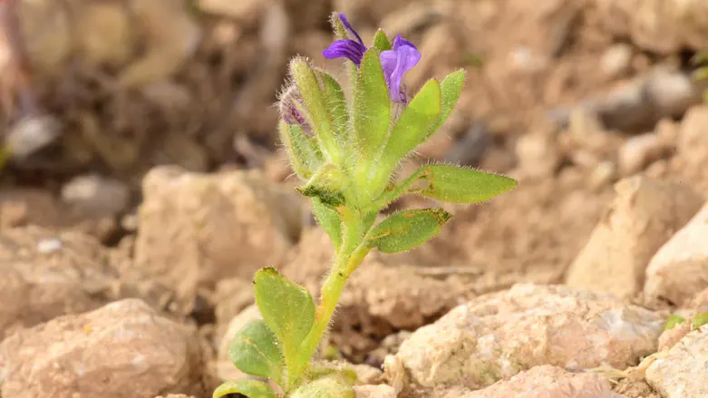 ביקור במקום שעורר בי נוסטלגיה ואכזבה