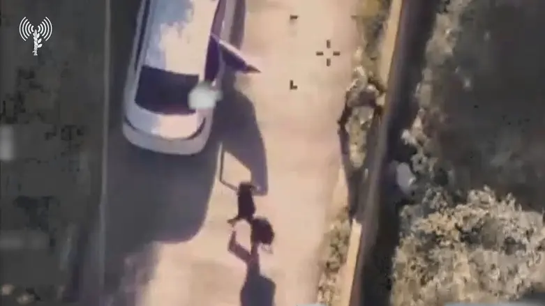 צפו: רגעי הסיכול "על חם" בדרום לבנון