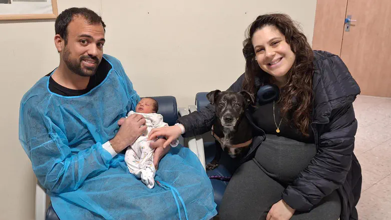 מה עשתה כלבה בחדר הלידה?