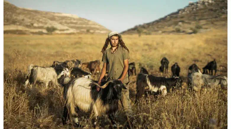 המהפך שמחוללות הגבעות ביו"ש