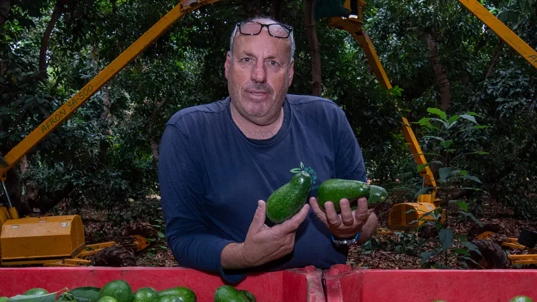 Eyal Margolin, Flash 90 IDF probing whether soldier fire killed man in Misgav Am