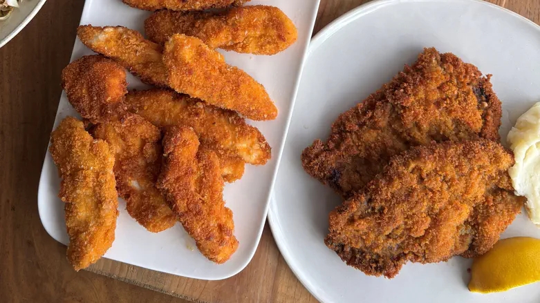 צילום: יח"צ השניצל הביתי שכל המשפחה תתאהב בו