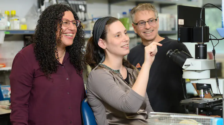 How yeast find the perfect match