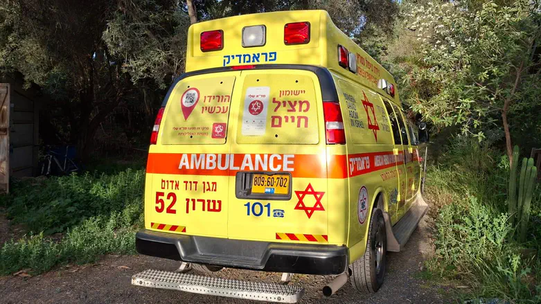 В доме в районе Алона найдены мертвыми мужчина и ребенок