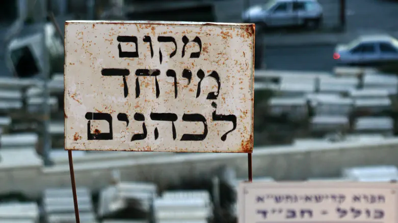 'Say to the kohanim, the sons of Aaron'