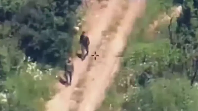 Hezbollah terrorists eliminated, rocket launchers destroyed