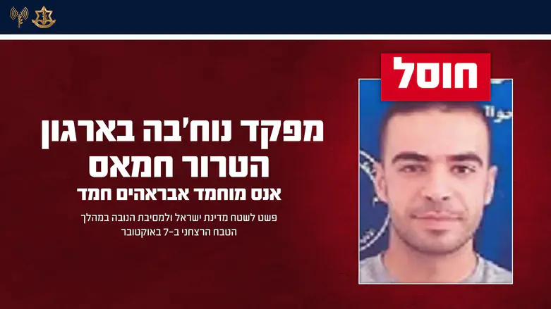 חוסל מחבל שהשתתף בטבח במסיבת ה"נובה"