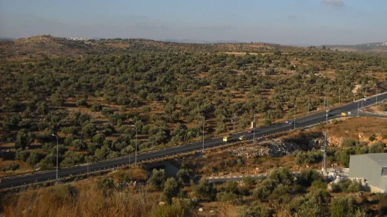 השלב הראשון של הכפלת כביש 55 ייפתח לתנועה