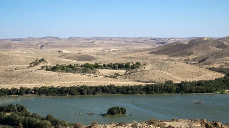 וילה בנגב במחיר של דירת 4 חדרים במרכז