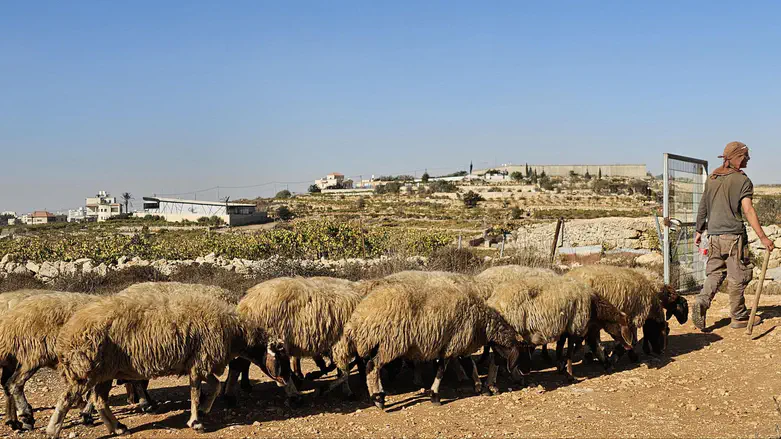 רצף יהודי היסטורי נרקם בין חברון לירושלים