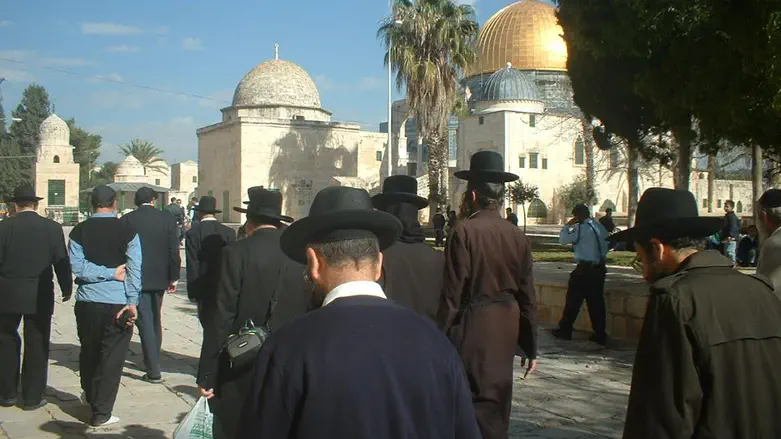 Amshinov hassidic court clarifies Temple Mount ruling
