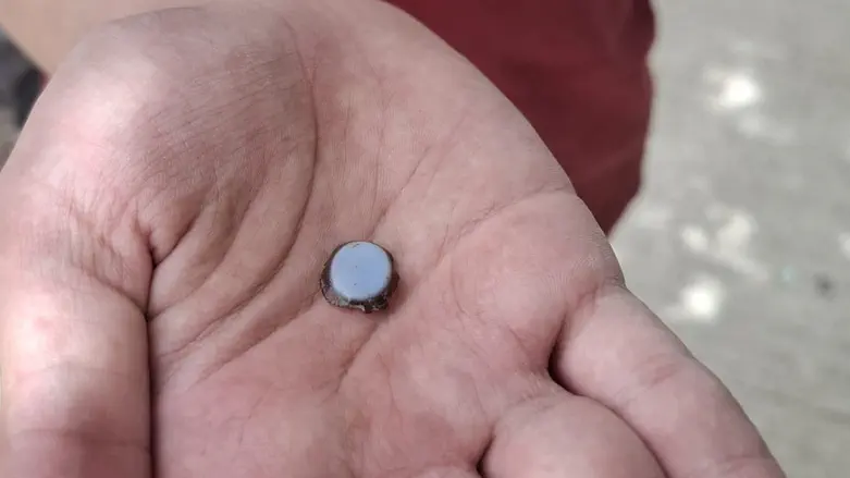 Hadar Quint, Nature and Parks Authority 12-year-old uncovers ancient rare stone at national park