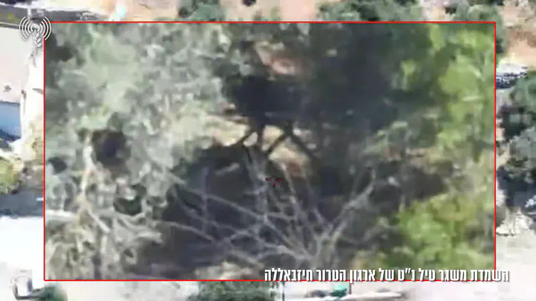 IDF destroys missile launcher hidden in bushes