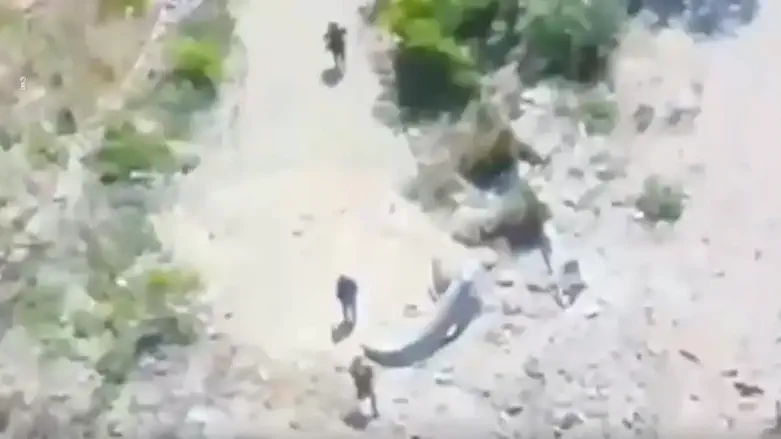 Watch: Seven terrorists spotted - and eliminated