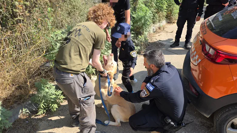 IDU Israel Dog Unit brings joy to special needs child in Samaria