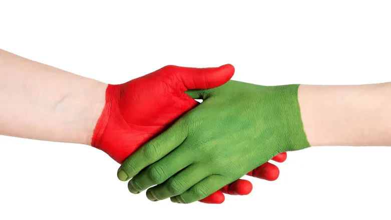 Dreamstime purchased by Amanda Chaitt The hidden and real source of “White Guilt"
