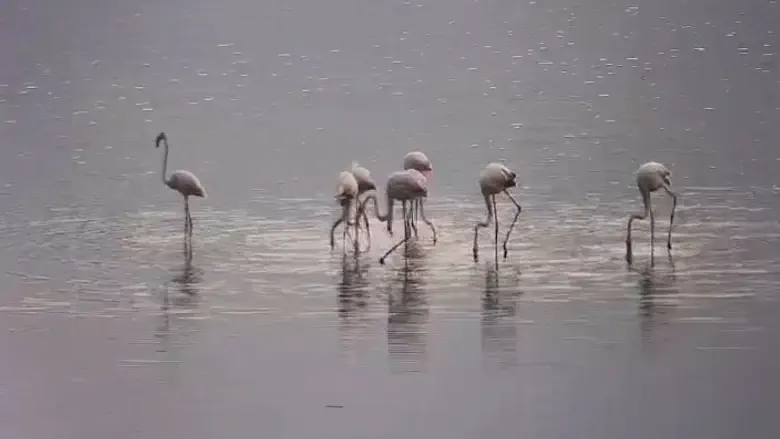 Despite the heat, signs of autumn at Hula Lake Park