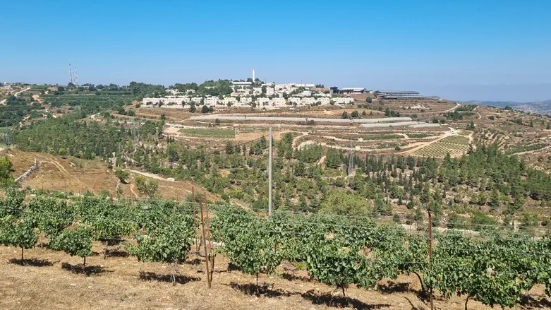 מה הסיפור הזה על טיולים בתוך כפרים ערבים?